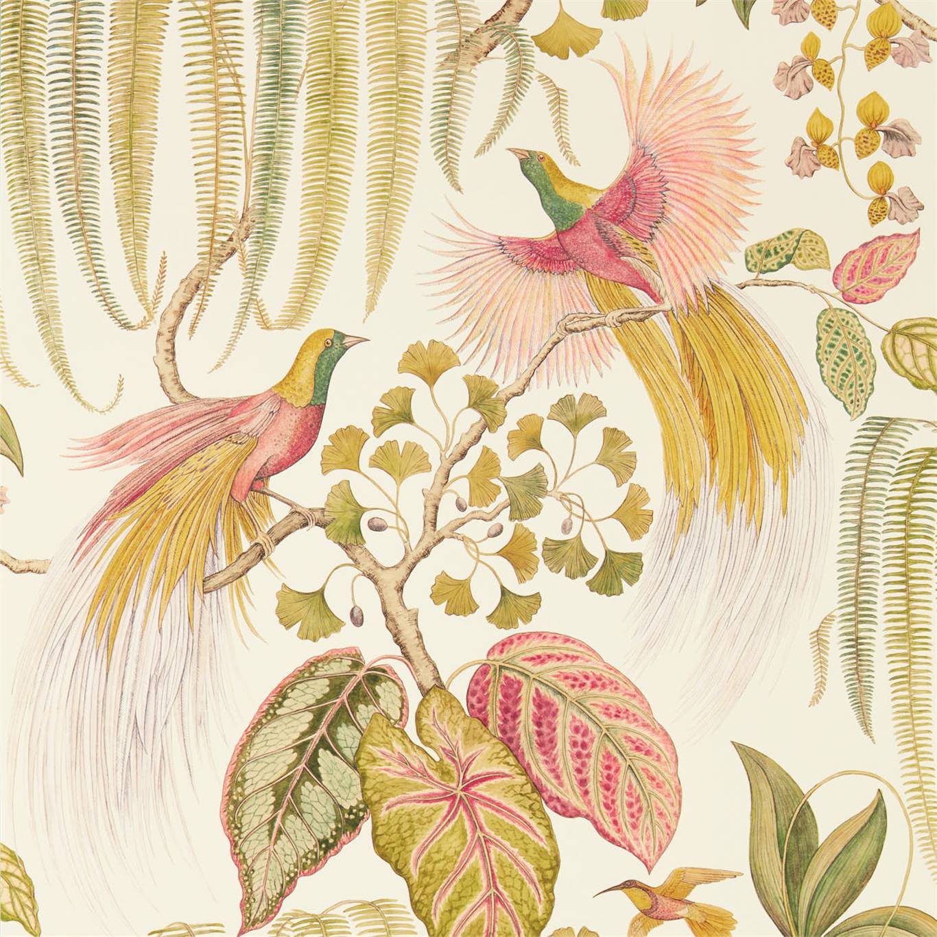 Обои Sanderson The Glasshouse Bird of Paradise 216653